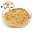 Export Dry King Oyster Mushroom Extract Powder 30% Polysaccharides